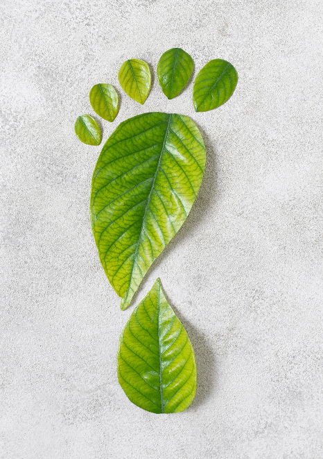 Atık Su Geri Kazanım Tesisi